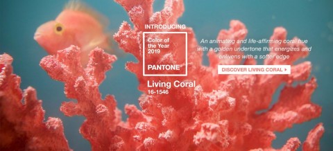 Living Coral - Pantone barva leta  2019
