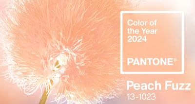 Peach Fuzz - Pantone barva leta 2024