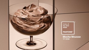 Mocha Mousse