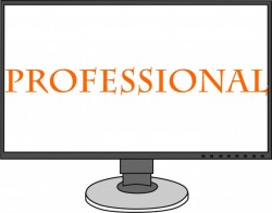 Professional monitor